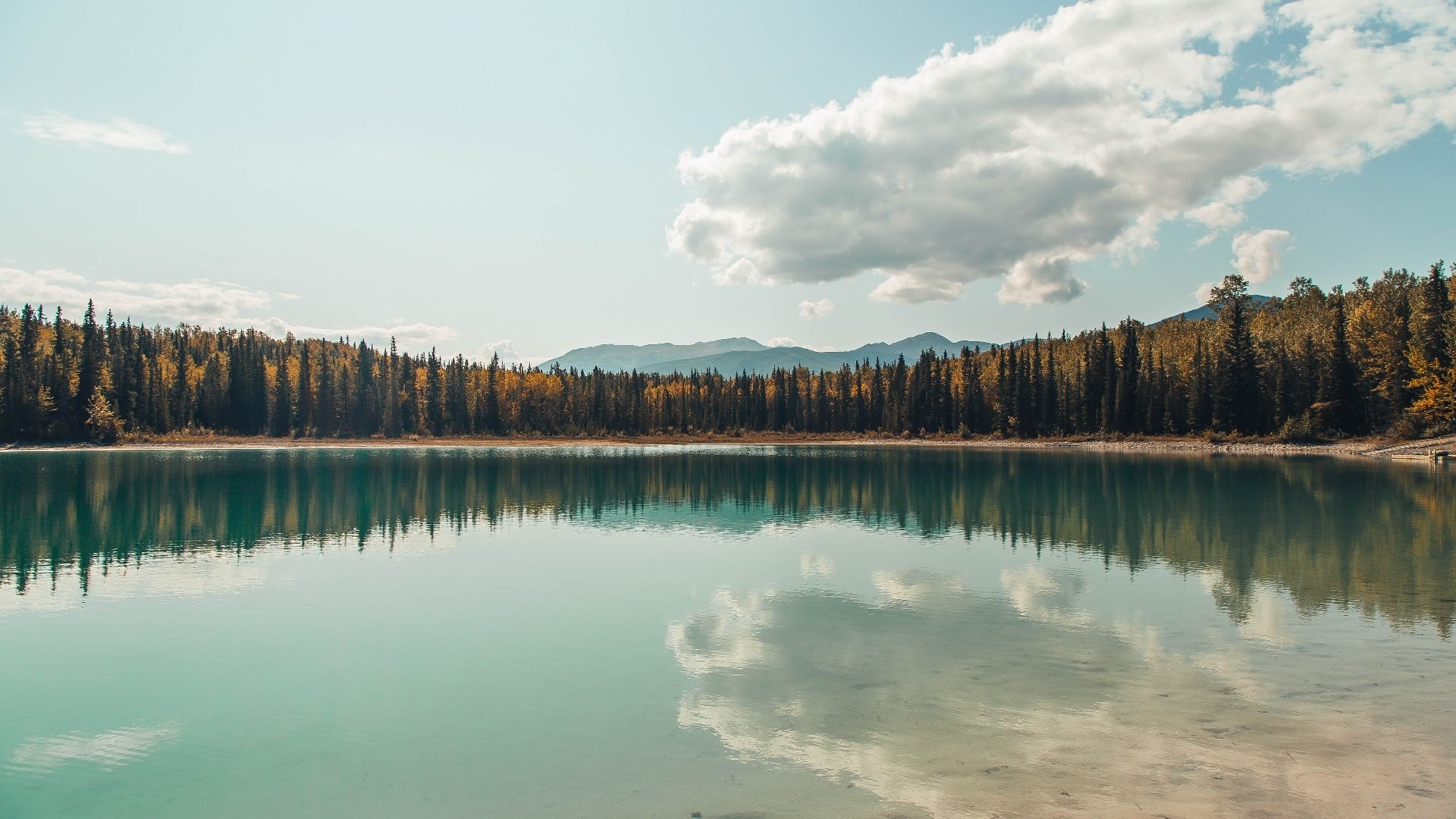 奥运周期关键战之夜，克莱·汤普森的高光时刻