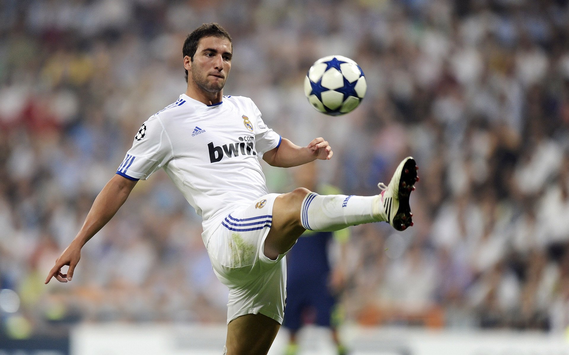 双线闪耀，多特铁血晋级映衬维尼修斯亚平宁封神