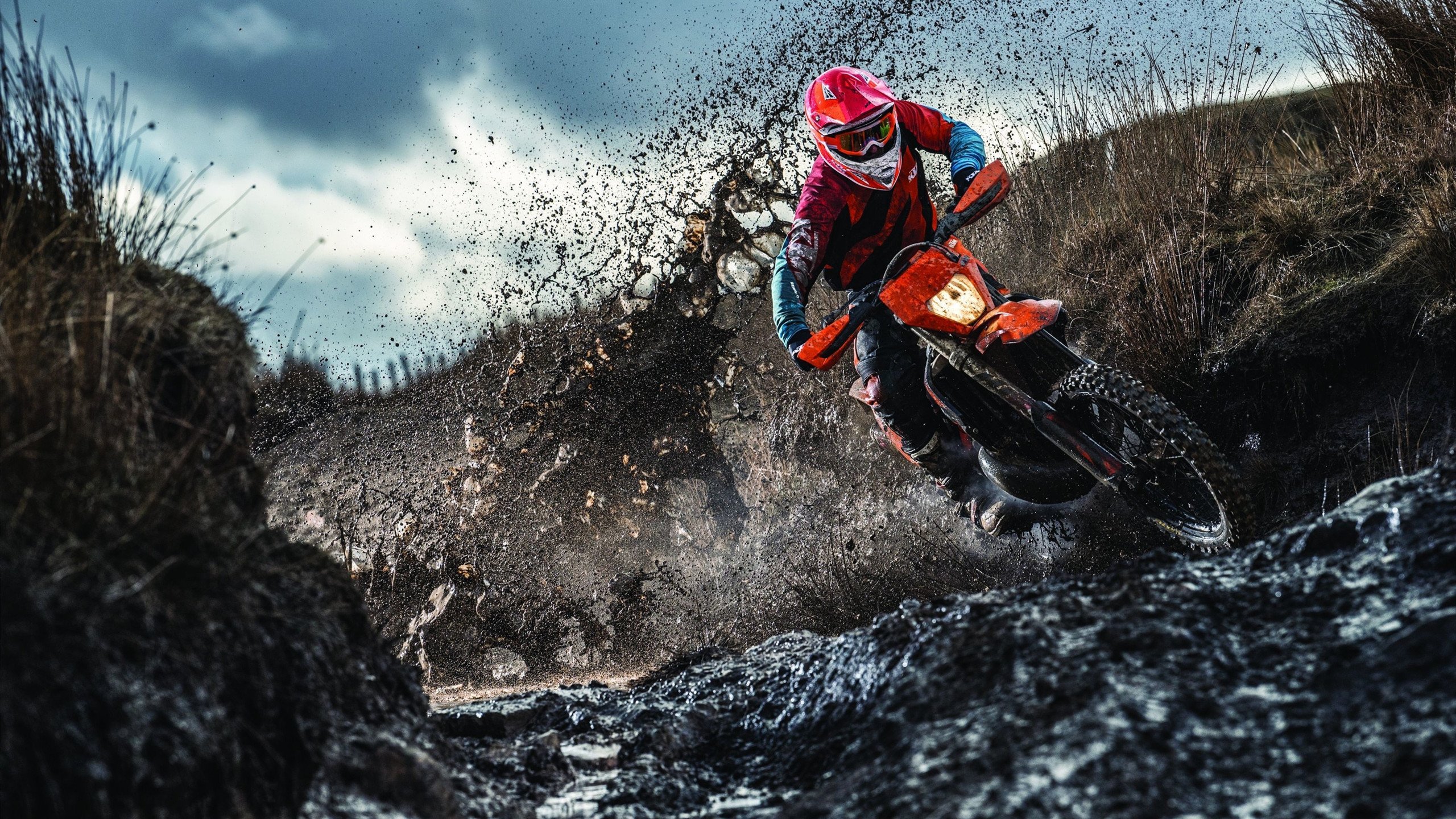 温网完胜联合杯，蒂姆扛起全队，奥地利网球迎来黄金时代